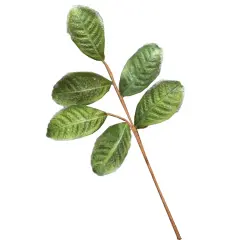 Flocked Magnolia Leaves Spray 20"