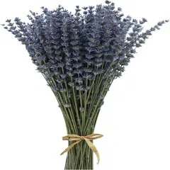 Dried Lavender Bundles Lavender Bunches Dry Lavender Flowers for Home Decor, Crafts, Wedding Bouquets