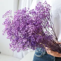 Dried-Flowers-Babys-Breath-Bouquet-17.2 inch 2500+ Flowers, Natural Gypsophila Branches for Home Decor, Wedding, Table Decor, DIY Wreath Floral, Dry Flowers Bulk for Vase (Purple)