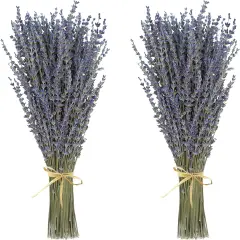 Dried Lavender 2 Bunches 100% Fresh Natural Purple Bouquet Flowers for Bathroom Photo Props Crafts Decoration, 15-17" for Shower Weeding Vase Decor, Home Fragrance(200-220 Stems(100g/3.5oz Total))