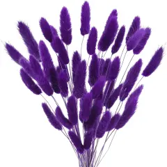 17&rsquo;&rsquo; Natural Bunny Tails Dried Flowers, 50 Pcs Dried Lagurus Ovatus, Dried Purple Pampas Grass Decor for Farmhouse Flower Arrangements Wedding Home Craft Boho Party Decorations
