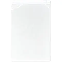 Plymor 2.7 Mil Slider Reclosable Plastic Bags (Case of 1,000)