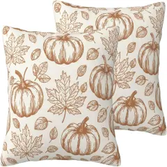 Set of 2 Fall Pumpkin Pillow Covers 20x20 inch