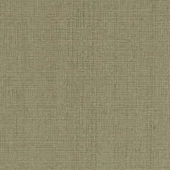 Spring - Green PlainSolid Upholstery Fabric 54 Inches"