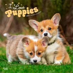 I Love Puppies | 2026 12 x 24 Inch (Hanging) Monthly Square Wall Calendar | Plastic-Free