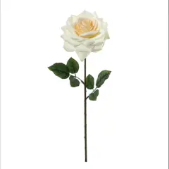 20" Open Rose Stem - 4PACK