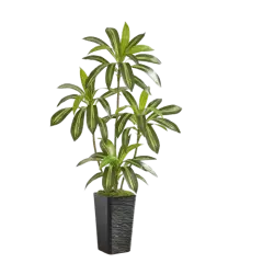 5FT Artificial Dracaena Silk Tree with Black Planter - Real Touch Fake Plant for Home & Office Decor, Faux Yucca Indoor Floor Tree