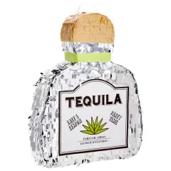 Tequila Pinata for Bachelor Party Decorations, Table Centerpiece, Photo Prop (Small, 16.5 x 13 x 3 In) Silver