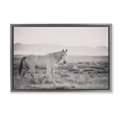 Stupell Industries Quiet Atmosphere with Horse Floating Frame By Nathan Larson