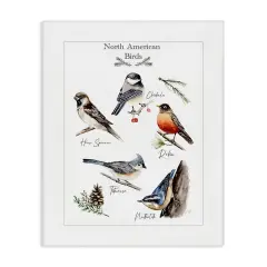 Stupell Industries North American Birds Chart Canvas By Heather Desormeaux