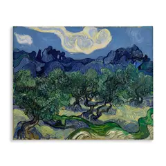 Stupell Industries Van Gogh Olive Trees Landscape Canvas Wall Art Design by one1000paintings