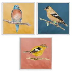 Stupell Industries Brilliant Birds on Branches 3 pc Framed Giclee Wall Art Set Design by Lanie Loreth