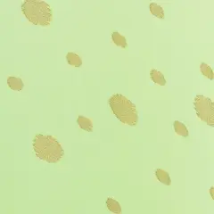 1 Yard Pale Apple Green Sari Chiffon with Gold Embroidered Medallions, 55 Inches Wide