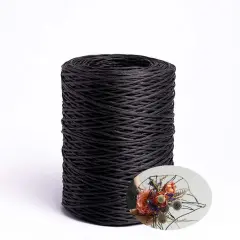 656 Feet Floral Wire,2mm Floral Bind Wire Wrap Twine,Paper Covered Wire Rustic Vine Wire for Floral Arrangements, Flower Crowns, Grapevine Wreath Making, Wedding Decorating, DIY Projects(Black)