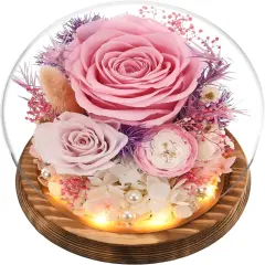 Gifts for Women Mom Grandma, Preserved Flowers Roses in Glass Dome with LED Light, Mother Day Birthday Valentine Gifts (Pink)