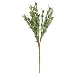 20&rdquo; High Red Pip and Foamy Herb Spray with Flexible Brown Wrapped Stem