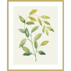 Wilted Vine I by Grace Popp Wood Framed Wall Art Print