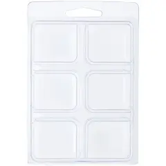 Collecting Warehouse Clear Plastic Clamshell Package / Storage Container with 6 Compartments, 0.875" H x 1.125" W x 1" D