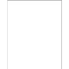 Solid White Cotton Fabric | By the Yard | Sewing and Crafting | 44 inches wide