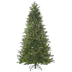 Carolina Pine Christmas Tree Prelit Clear+ Multi LED - HOLIDAY TREE