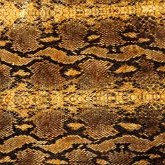 1 Yard Snakeskin Printed Velvet Fabric for Cosplay Costumes Leggings Apparel 60 Inches Width Gold