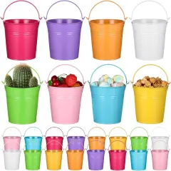24 Pieces Small Metal Buckets Colored