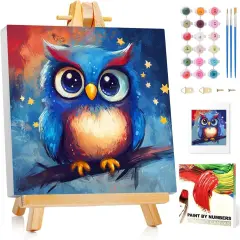 8X8Inch - Owl Paint by Numbers Kit for Kids with Frame