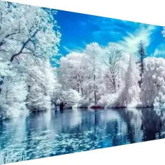 5D Lake Diamond Painting, Diamonds Painting Winter Tree Kits for Adults，DIY Full Drill Crystal Rhinestone Arts and Crafts, Gem Art Paints with Diamond Home Wall Decor 27.5 X 15.7inch