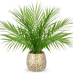 Fake Plants 15'' Faux Palm Plant in Gold-White Pot Realistic Artificial Plants Indoor for Home Farmhouse Centrepieces Wedding Decorations