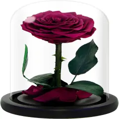 Handmade Preserved Roses in Glass Dome, Long Lasting Pink Roses Real, Flowers for Women