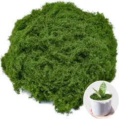 Fake Green Moss 10.6 oz Decorative Artificial Moss for Crafts Artificial Dark Faux Moss for DIY Table Centerpieces Wedding Party Decor Fairy Garden Floral