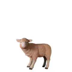 Merino Baby Lamb Life Size Statue