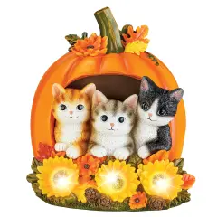 Collections Etc LED Lighted Hand-Painted Harvest Pumpkin Cats Decoration