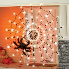 Collections Etc LED Lighted Halloween Spider Web Lights with Spider and Remote Control