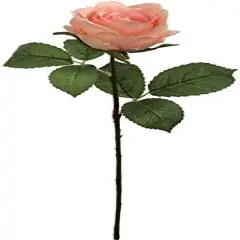 Rose Revival: 20" Silk Pink Rose Bud Stem - 12 Piece Set - Perfect for Spring and Summer Celebrations and Festivals