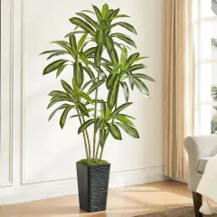 6FT Artificial Dracaena Silk Tree with Black Planter - Real Touch Fake Plant for Home & Office Decor, Faux Yucca Indoor Floor Tree