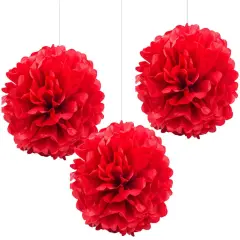 Red Tissue Paper Pom Poms, 12in Paper Flower Balls Hanging Party Decorations, Pack of 12
