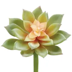 Allstate Artificial Echeveria Pick Spray - 10" - Green and Mauve