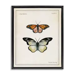 Stupell Industries Manor House Butterflies Floating Frame By Danielle Murray