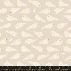 Whippoorwill in Sandbox (rs3078 11) | Bird Is The Word | Kimberly Kight | Ruby Star Society