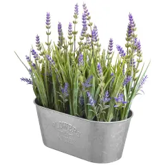 Haute Decor 10 Inch Lavender in Galvanized Metal Pot