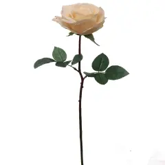 27&rdquo; Real Touch Peach Rose 4&rdquo; Bloom, Lifelike Faux Flower for Bouquets, Home & Wedding Decor