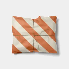 Terracotta and Cream Colorful Striped