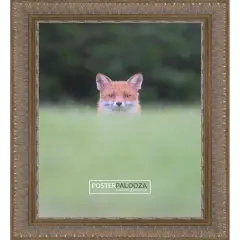 Ornate Gold Picture Frame - UV Acrylic, Foam Board Backing, Hanging Hardware