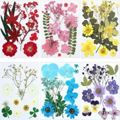 72 Pcs Dried Pressed Flowers for Resin Molds