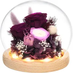 Valentines Gifts for Her, Flowers for Delivery Prime, Preserved Real Rose in Glass Dome with LED Light, Gifts Idea for Women Wife Mom Grandma on Anniversary Birthday Mothers Day
