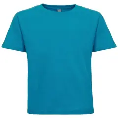 Next Level&reg; Apparel Youth Boys&rsquo; Cotton Crewneck T-Shirt TURQUOISE