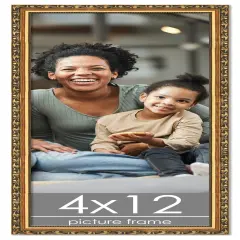 4x12 Museum-Quality Picture Frame with UV-Resistant Acrylic & Acid-Free Backing, Available in 4 Finishes - Gold, Silver, Bronze, and Black