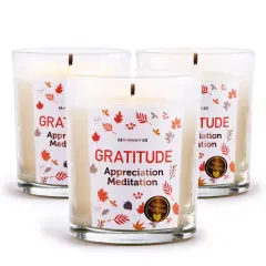 Magnificent 101 Set of 3 Long-Lasting Gratitude Smudge Candles | 3.5 Oz Each - 42 Hour Burn |Made of Soy Wax for House Energy Cleansing, Meditation & Manifestation Multicolor