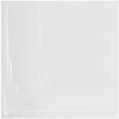 Plymor 4" x 4", 2 Mil Flat Open Clear Plastic Poly Bags